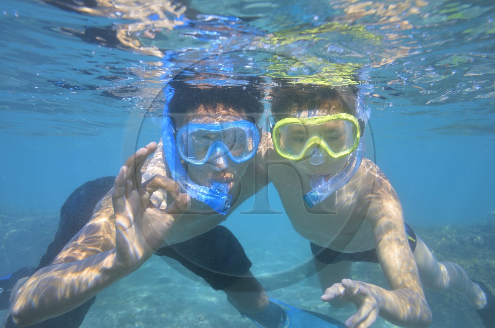 France, Ile de la Reunion, Côte Ouest, Saint-Gilles-Les-Bains (commune de Saint-Paul), le récif corallien du lagon de l'Ermitage et de La Saline-Les-Bains (vue sous-marine)