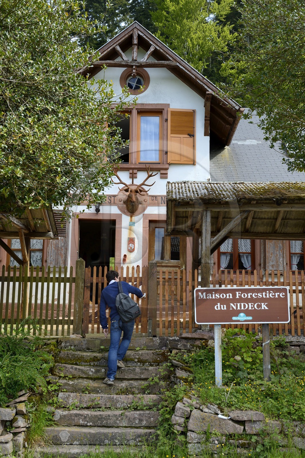 France, Bas-Rhin (67), entre Wangenbourg-Engenthal et Oberhaslach, la maison forestière du Nideck