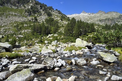 France, Hautes Pyrenees, Saint Lary Soulan, Neouvielle National Nature Reserve, Neouvielle lakes hike, torrent above Les Laquettes