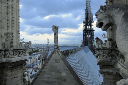 France, Paris (75), île de la Cité, la cathédrale Notre-Dame, les chimères observent la ville