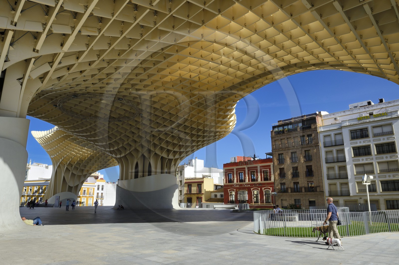 Espagne, Andalousie, Séville, Plaza de la Encarnacion - Plaza Mayor, Metropol Parasol (construit en 2011) par l'architecte  Jurgen Mayer-Hermann