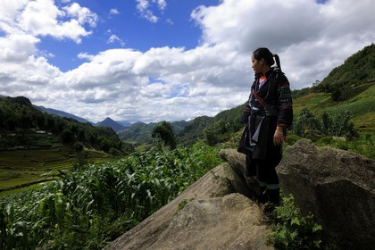 Vietnam, Lao Cai province, Sapa district, the Black Hmong minority group