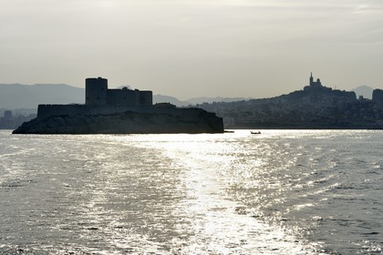 France, Bouches du Rhone, Marseille, Calanques National Park, archipelago of Frioul islands, the Chateau d'If and Notre Dame de la Garde basilica in the background