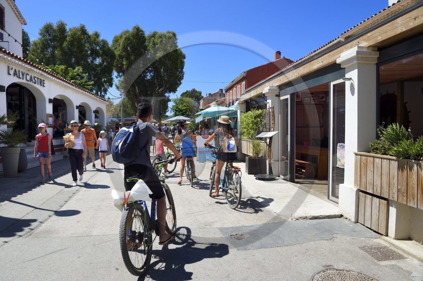 France, Var (83), Iles d'Hyères, parc national de Port Cros, Ile de Porquerolles, village de Porquerolles, terrasses de restaurant dans la rue principale France, Var (83), Iles d'Hyères, parc national de Port Cros, Ile de Porquerolles, village de Porquerolles, terrasses de restaurant dans la rue principale