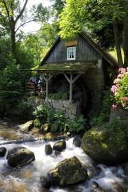 Germany, Black Forest, Schwarzwald, Baden-Württemberg, Ottenhoffen Region, Mühle am Rain mill