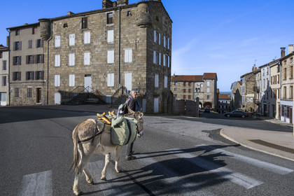 France, Haute-Loire (43), Pradelles, labelled Les Plus Beaux Villages de France (The Most Beautiful Villages of France), hiking with a donkey on the Robert Louis Stevenson Trail (GR 70) to the old town