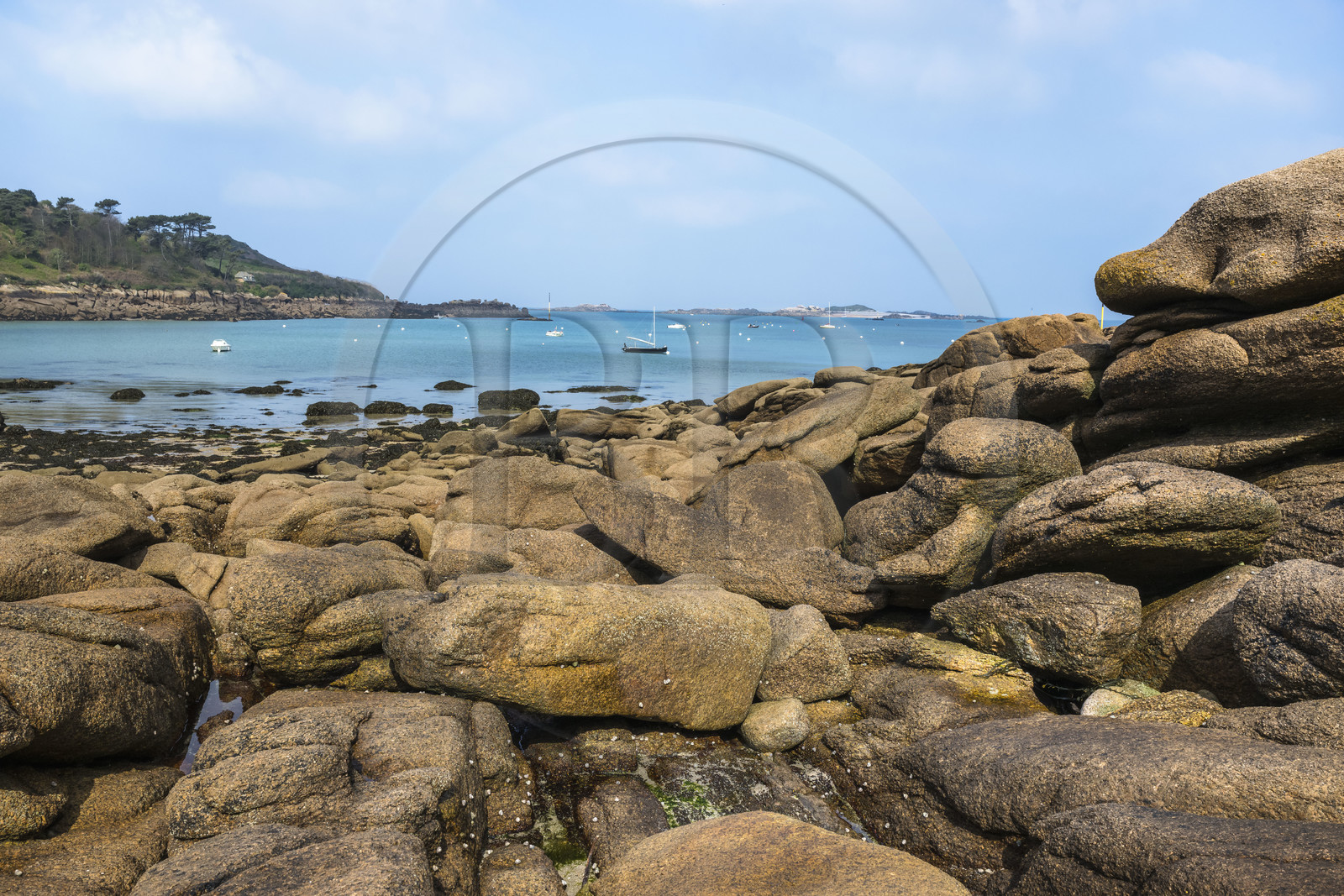 France, Côtes-d'Armor (22), Côte de Granit Rose, Trébeurden, Ile Millau, l'ile est uniquement accessible à pied et à marée basse depuis la pointe du Castel