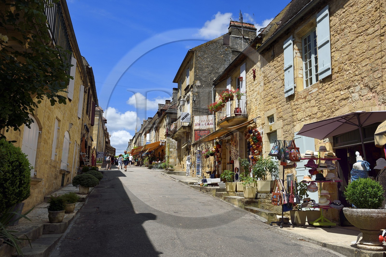 France, Dordogne (24), Périgord Noir, vallée de la Dordogne, vallée de la Dordogne, Domme, labellisé Les Plus Beaux Villages de France, la Grand Rue