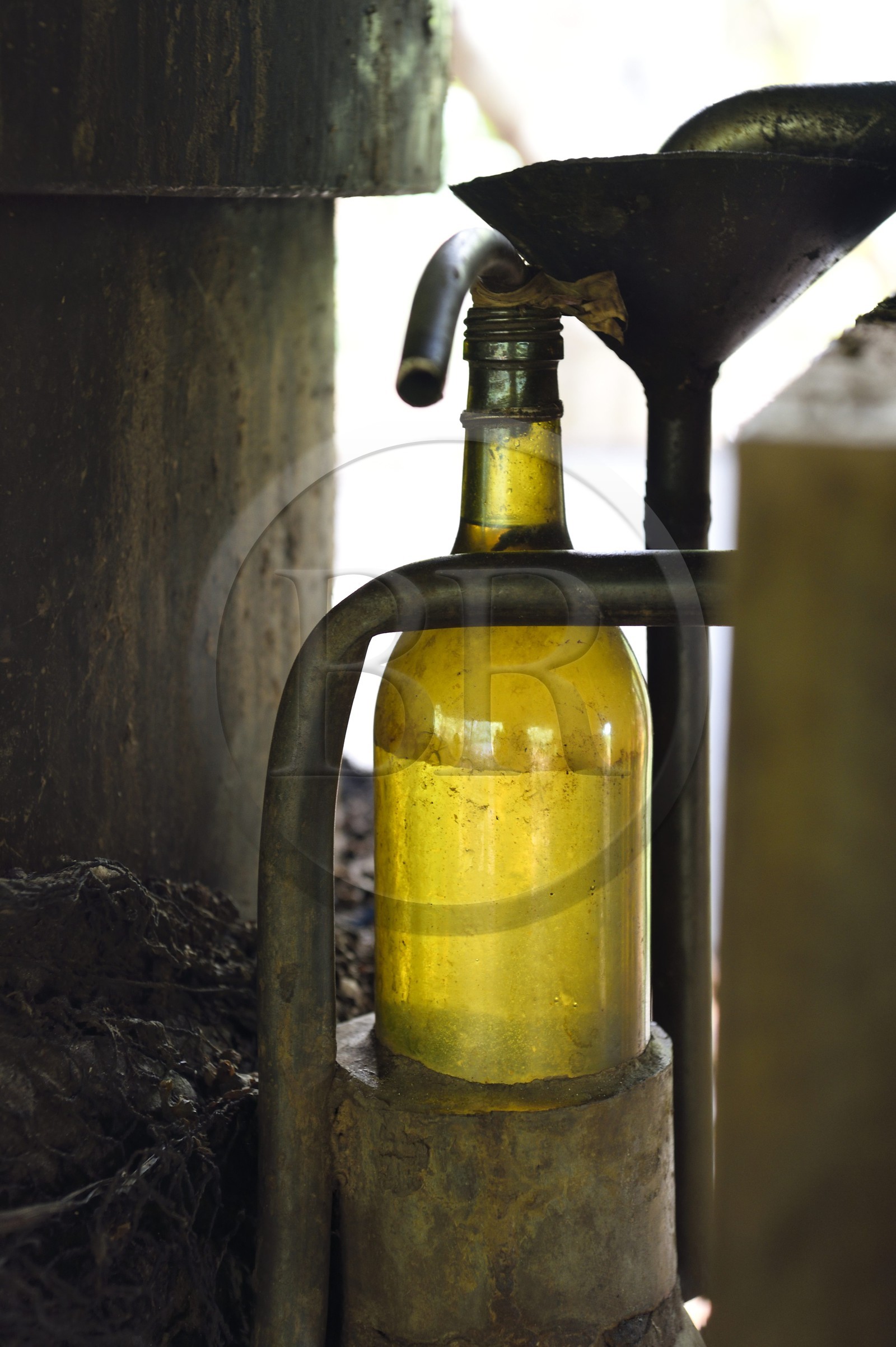 France, Mayotte island (French overseas department), Grande-Terre, Ouangani, essential oil distillation based ylang ylang flower petals (Cananga odorata) in artisan alembic