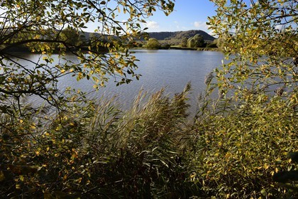 France, Meuse, Lorraine Regional Park, Cotes de Meuse, Heudicourt-sous-les-Cotes, Lake Madine