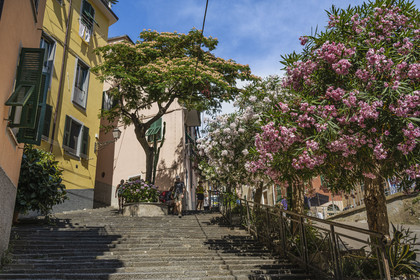 Italie, Ligurie, Cinque Terre, parc national des Cinque Terre classé Patrimoine Mondial de l'UNESCO, village de Riomaggiore,