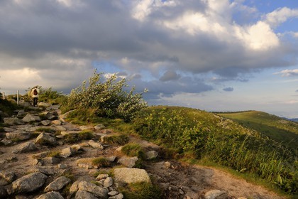 France, Haut-Rhin (68), la route des Crêtes, réserve naturelle tourbière du Tanet-Gazon-du-Faing