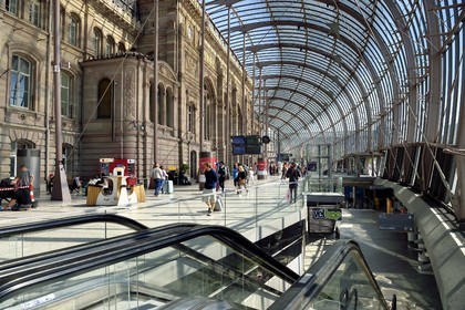 France, Bas Rhin, Strasbourg, canopy of the train station by the architect Jean-Marie Duthilleul of the Arep architecture firm