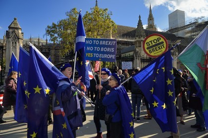 United Kingdom, London, City of Westminster, protest against Brexit in UK Parliament, European flag