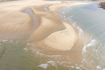 France, Vendée (85), Talmont Saint Hilaire, la Pointe du Payré, walkers and seagulls on the Veillon beach and estuary of the Payré river (aerial view)