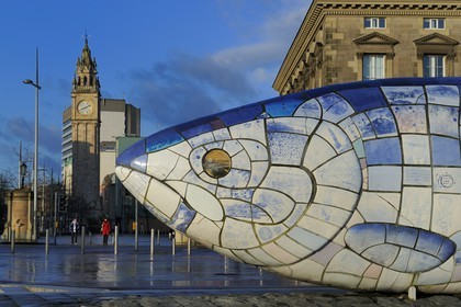 United Kingdom, Northern Ireland, Belfast, the waterfront on the Lagan riverside, The Big Fish by John Kindness on Donegall Quay and the Clock Tower