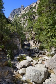 France, Corse du Sud, Alta Rocca, Bavella, canyoning in the stream of Polischellu