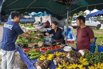 France, French Guiana, Javouhey, Sunday market Hmong refugees from Laos who arrived in 1978 and have specialized in fruit farming, Monica and her husband in front of their stall selling taro root, Thai basil, bananas, bitter melons, and other chilies.