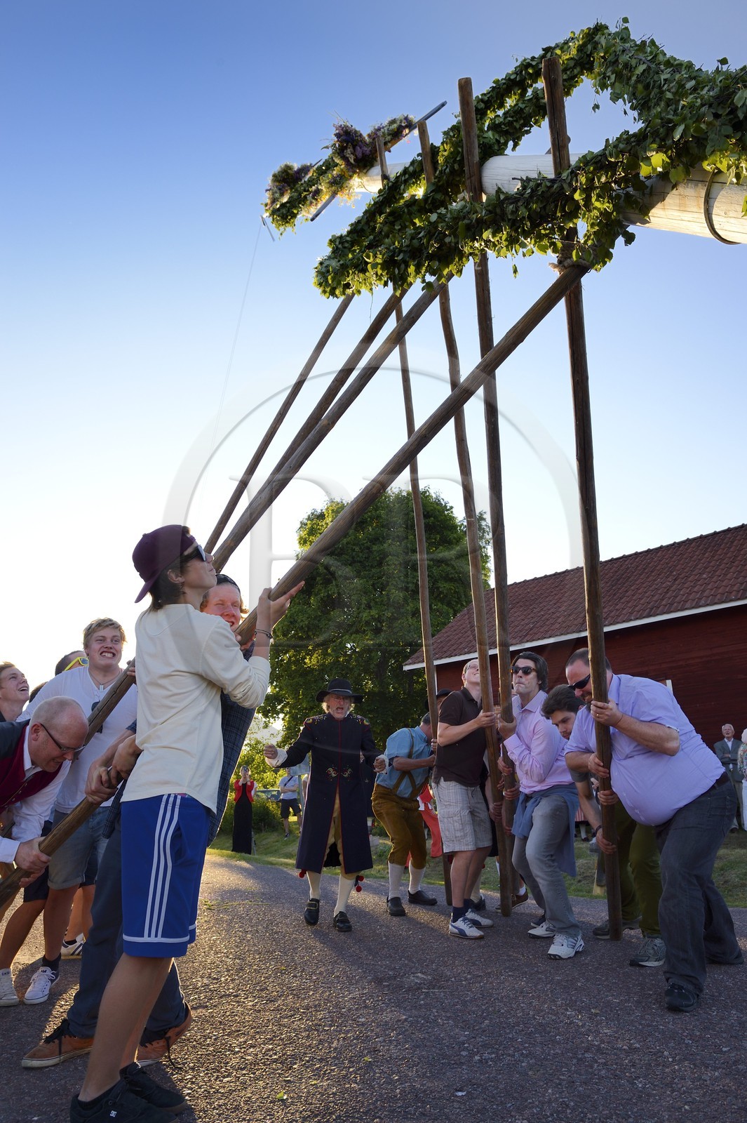 Suède, comté de Dalécarlie, région de Leksand, célébrations du solstice d'été dans le petit hameau de Hjulbäck, levée du mât de l'arbre de mai
