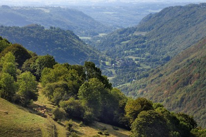 France, Cantal, Parc Naturel Régional des Volcans d'Auvergne (regional nature park of Auvergne volcanoes), the Brezons valley and village seen from the mountain pastures