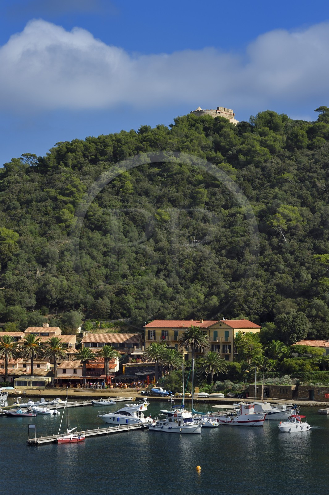France, Var (83), Iles d'Hyères, parc national de Port Cros, Ile de Port-Cros, le port et le Fort de L'Estissac