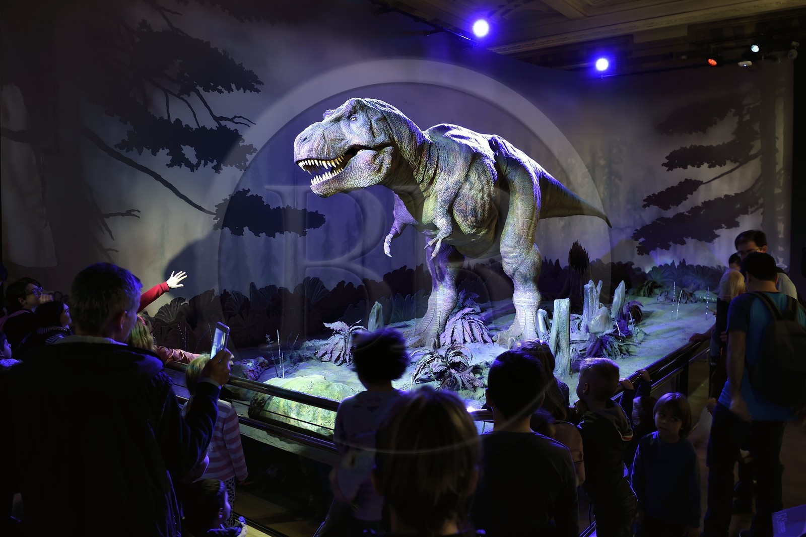 United Kingdom, London, Kensington, Natural History Museum, animated Tyrannosaurus Rex (T-Rex)