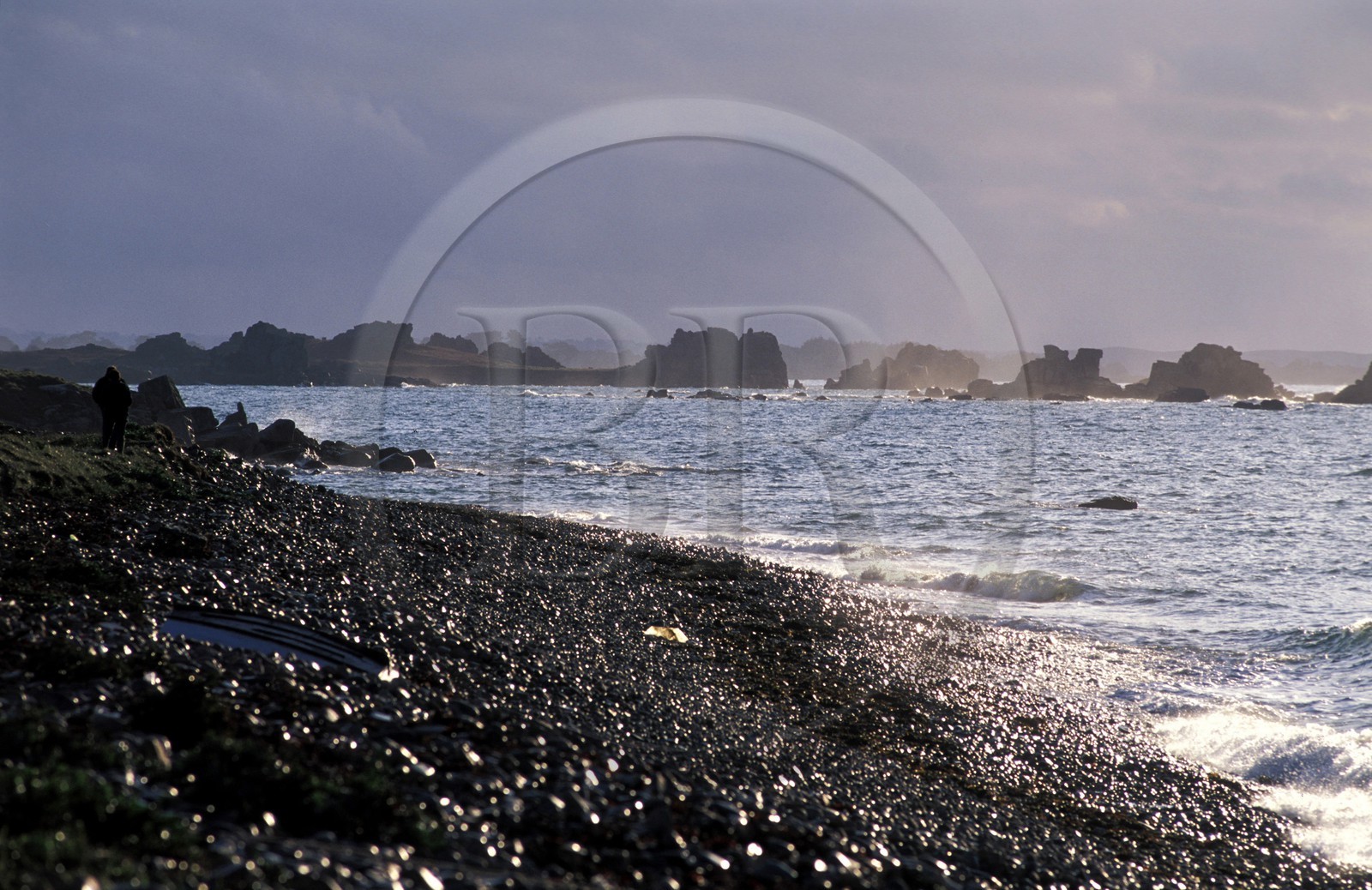 France, Côtes-d'Armor (22), la Presqu'île Sauvage dans la région de Tréguier France, Côtes-d'Armor (22), la Presqu'île Sauvage dans la région de Tréguier