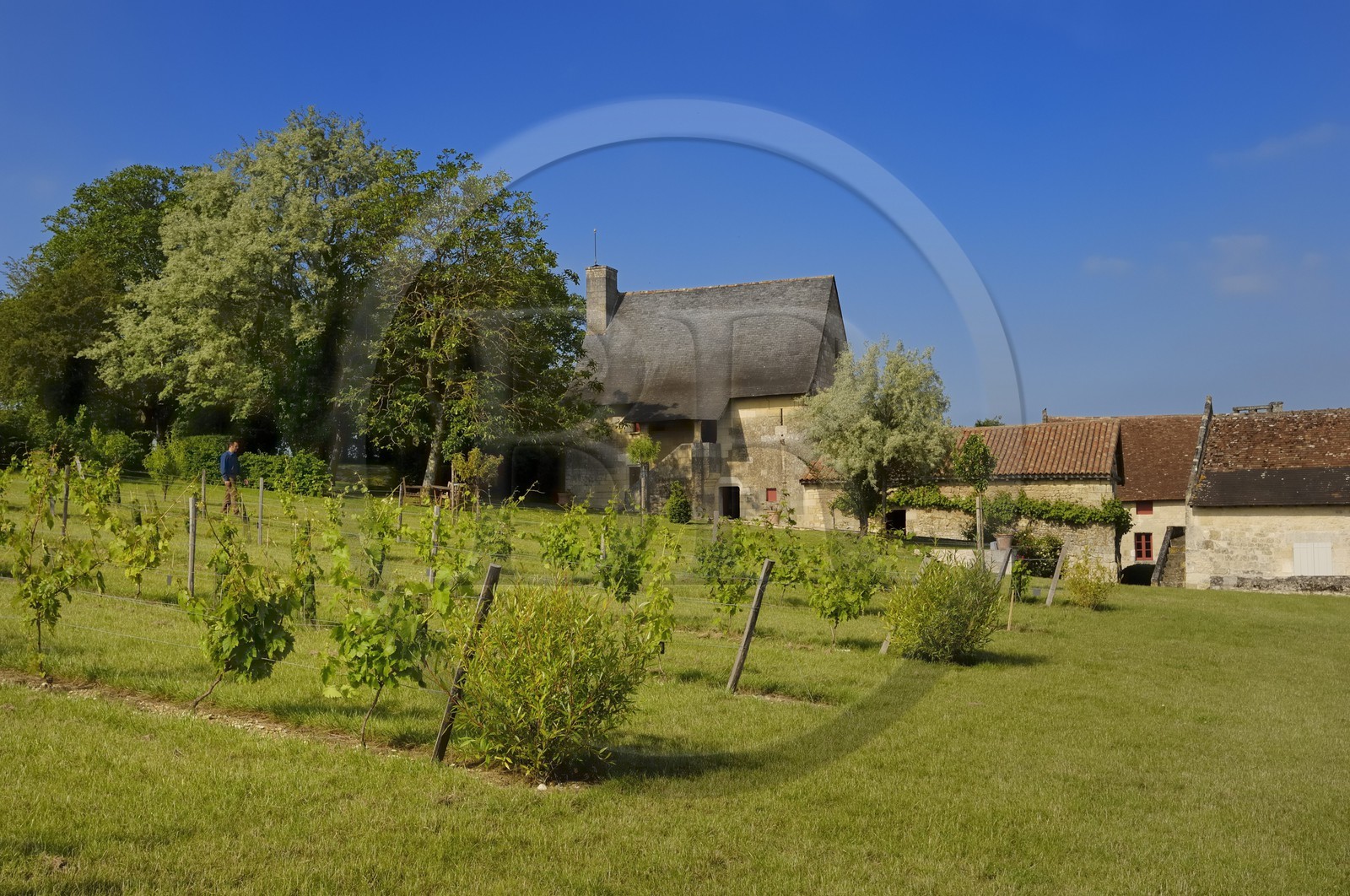 France, Indre et Loire, Loire Valley listed as World Heritage by UNESCO, Seuilly, La Deviniere, Francois Rabelais's house