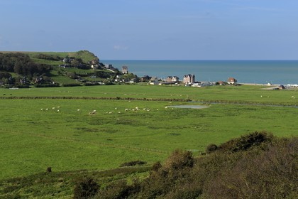 France, Seine-Maritime, Pays de Caux, Veulettes-sur-Mer, view of the Durdent river valley