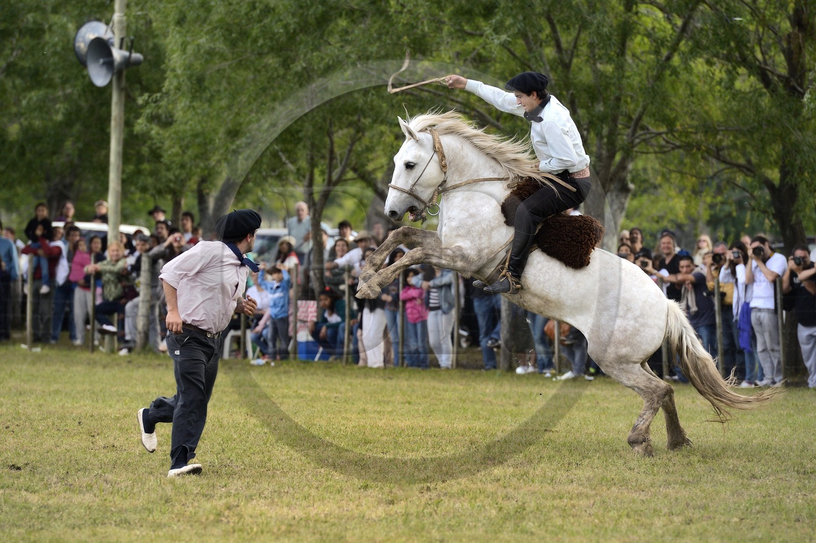 Argentina, Buenos Aires Province, San Antonio de Areco, Tradition Day festival (Dia de Tradicion), gauchos demonstrate their ability with horses at a rodeo called Jineteada gaucha