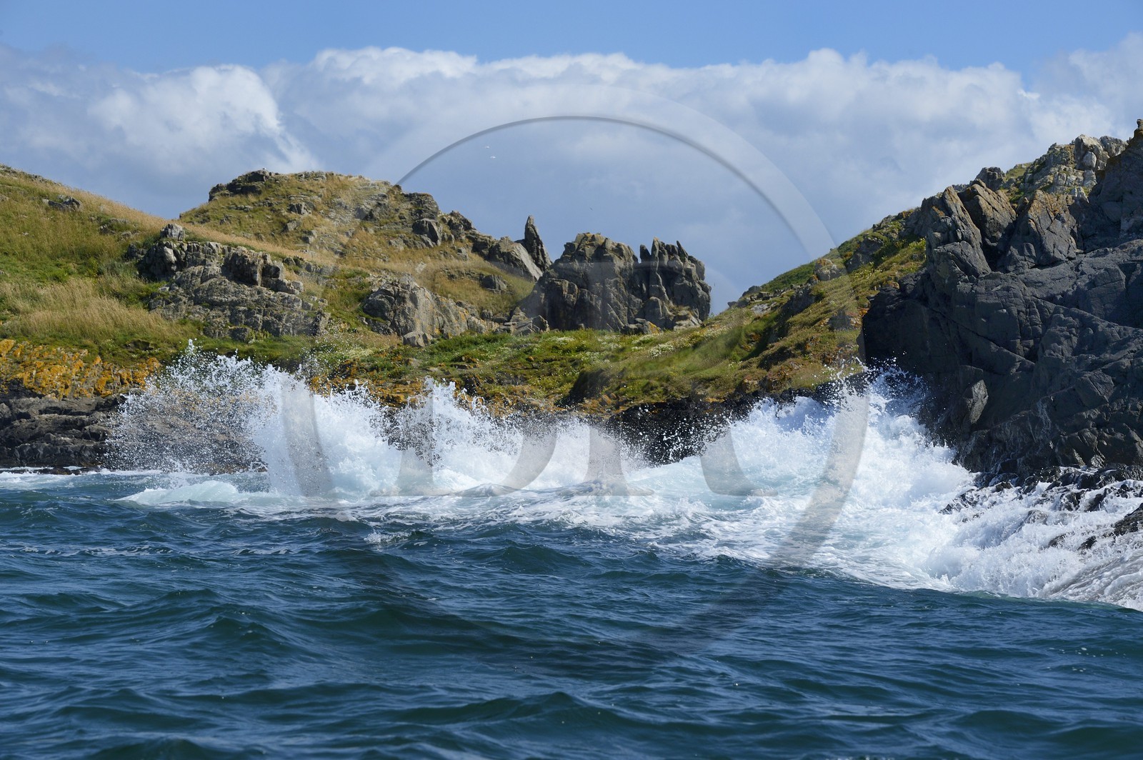 France, Côtes-d'Armor (22), Perros-Guirec, Ile Tomé