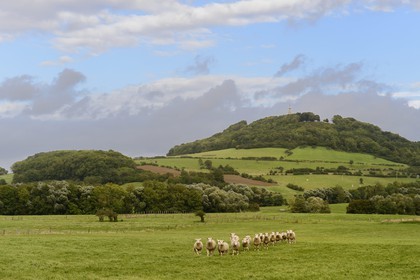 France, Meurthe-et-Moselle, Saintois region, colline de Sion-Vaudemont (hill of Sion)