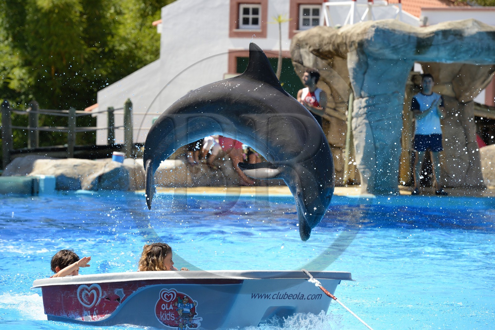 Portugal, Lisbonne, Jardin zoologique, le delphinarium, dauphin faisant le spectacle