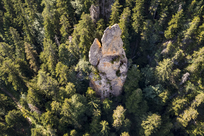 France, Hautes Alpes (05), Crots, rocher géant dans la forêt Boscodon (vue aérienne)