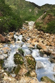 Caraïbes, Ile de la Dominique, Castle Bruce, Parc national du Morne Trois Pitons classé Patrimoine Mondial de l'UNESCO, la Vallée de la Désolation, rivière aux sources d'eau chaude dont la couleur unique est due à la présence de calcium, de carbone, de soufre et de fer, sur le sentier menant au Boiling Lake
