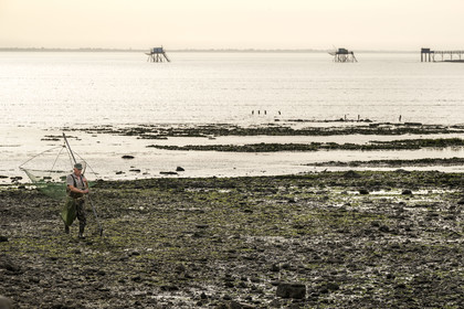 France, Charente Maritime, Port-des-Barques, hand net fisherman and huts on stilts called carrelets in the background