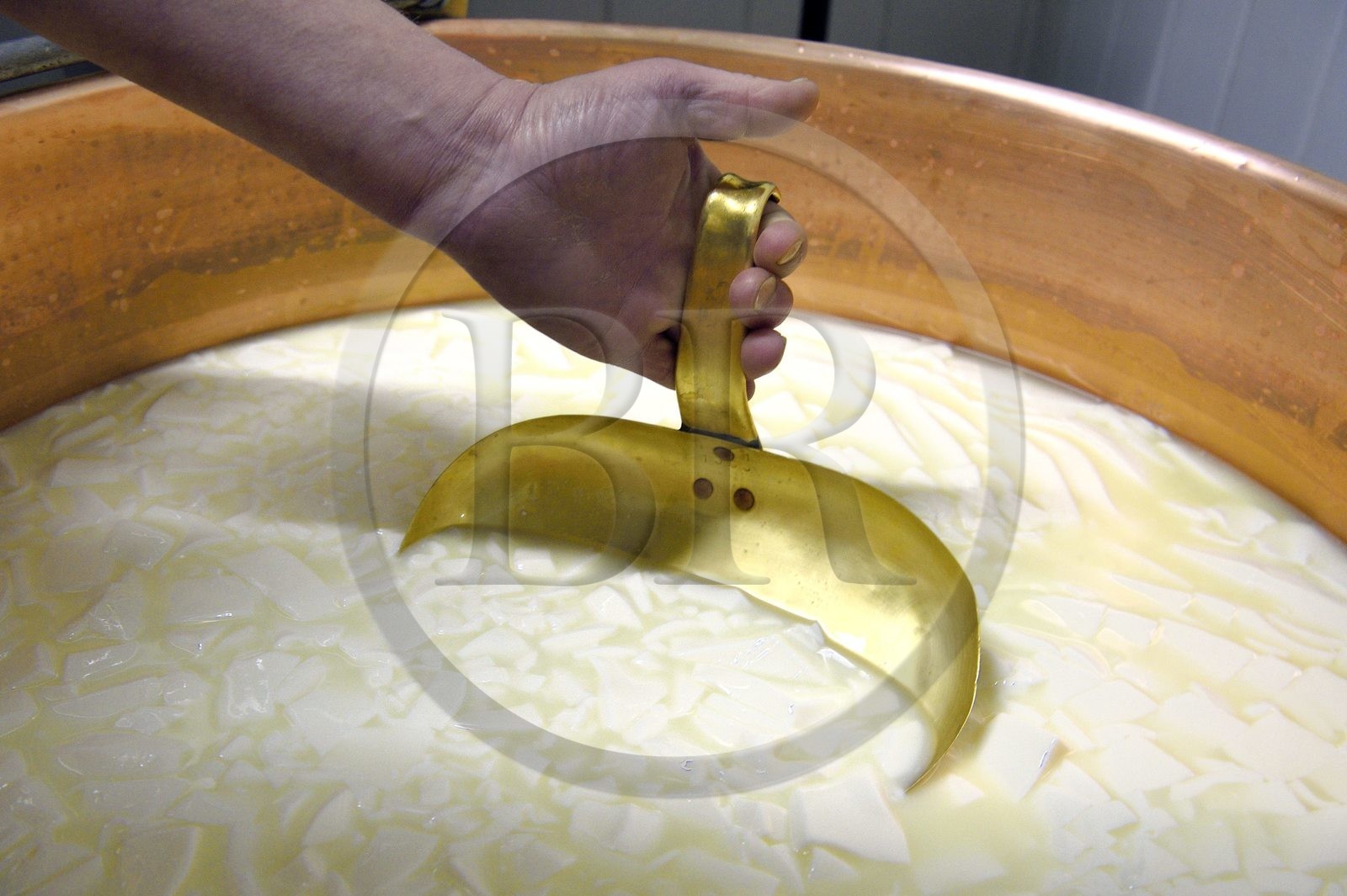 France, Haut-Rhin (68), Wasserbourg, Ferme-auberge Buchwald, le marcaire Michel Wehrey à la fabrication du fromage de munster AOP (lait de vache), découpe à l'écumoire du caillé pour faire monter le petit lait et descendre le fromage dans le chaudron en cuivre France, Haut-Rhin (68), Wasserbourg, Ferme-auberge Buchwald, le marcaire Michel Wehrey à la fabrication du fromage de munster AOP (lait de vache), découpe à l'écumoire du caillé pour faire monter le petit lait et descendre le fromage dans le chaudron en cuivre
