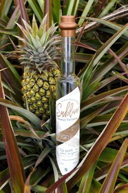 France, Reunion island (French overseas department), La Saline, Victoria pineapple eau de vie (brandy) from La Part des Anges Distillation and pineapple field
