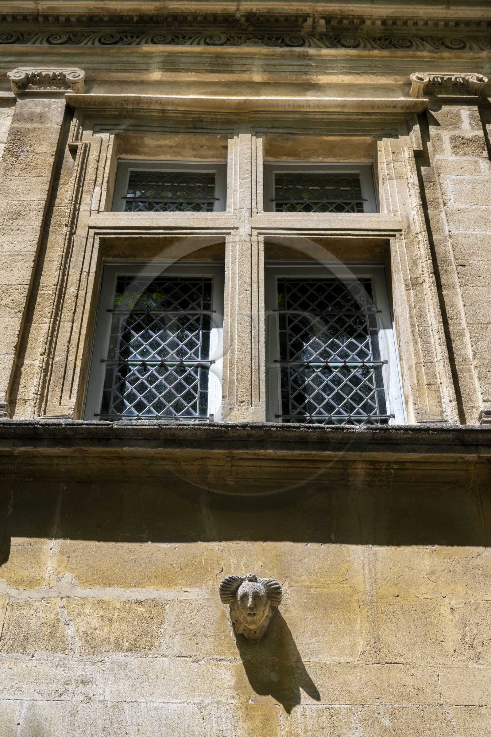 France, Bouches du Rhone, Regional Natural Park of the Alpilles, Saint Remy de Provence, Place Favier, Place Charles Favier, facade of the Renaissance Mistral de Mondragon mansion which houses the Alpilles museum