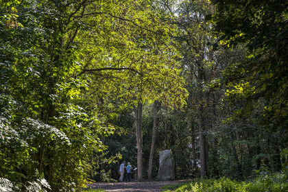 France, Loire-Atlantique (44), Saint-Brévin-Les-Pins, forêt de la Pierre Attelée, menhir de la Pierre Attelée