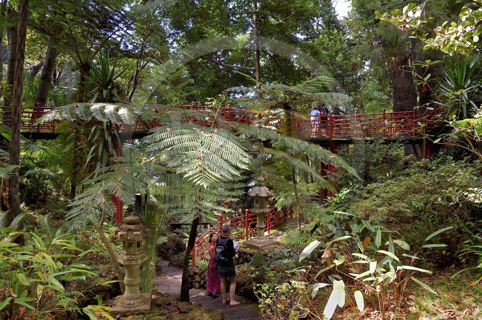 Portugal, Ile de Madère, Funchal, le jardin tropical Monte Palace