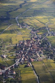 France, Haut-Rhin (68), village entouré de vignes (photo aérienne)