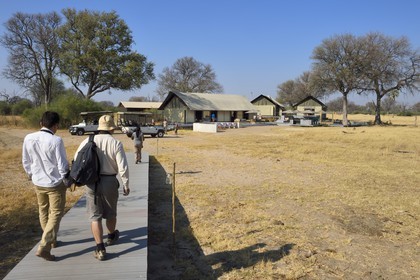 Zimbabwe, province de Matabeleland septentrional, parc national Hwange, Wilderness Safaris Linkwasha Camp