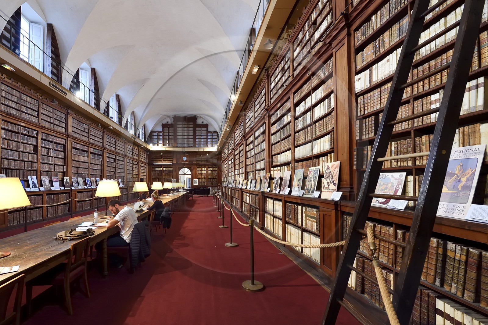 France, Corse-du-Sud (2A), Ajaccio, la bibliothèque Fesch dans le palais Fesch
