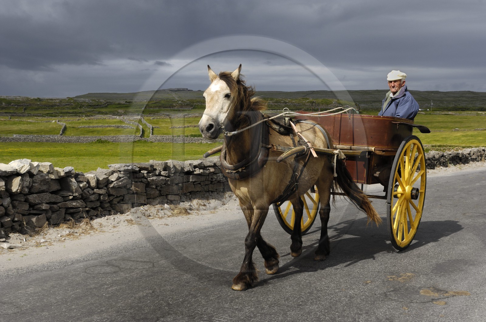 Irlande, Comté de Galway, Aran Islands, Inishmore, homme d'Aran sur sa calèche