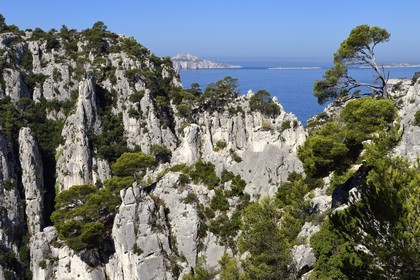 France, Bouches-du-Rhône (13), Marseille, Parc national des Calanques, Calanque d'En-Vau et l'Archipel de Riou en arrière plan (demande d'autorisation nécessaire avant publication)