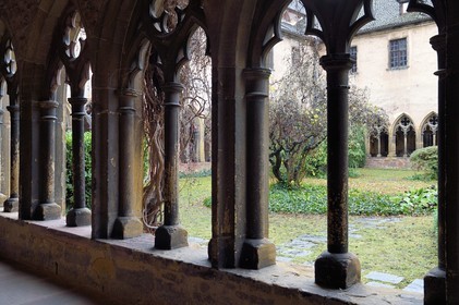 France, Haut-Rhin (68), Colmar, le musée Unterlinden, le cloitre