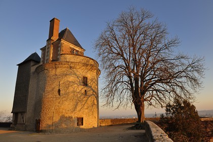 France, Loir et Cher, Loire Valley listed as World Heritage by UNESCO, Chateau de Blois, the Tour du Foix