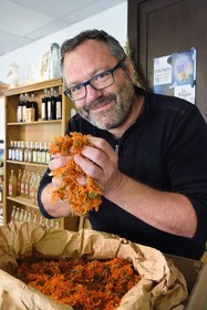 France, Vosges, Le Valtin, village in the upper valley of the Meurthe, John Voinson, mayor of Valtin and producer of medicinal plants and small fruits marked Regional Natural Park, manipulates calendula at the organic store Herbes du Valtin