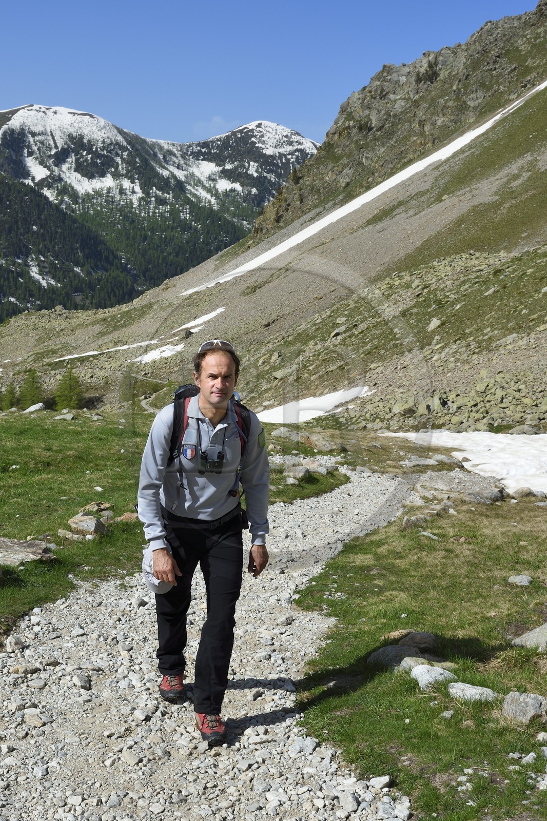 France, Alpes-Maritimes (06), parc national du Mercantour, Haute-Vésubie, randonnée dans le vallon de la Madone de Fenestre, Franck Guigo garde-moniteur du parc